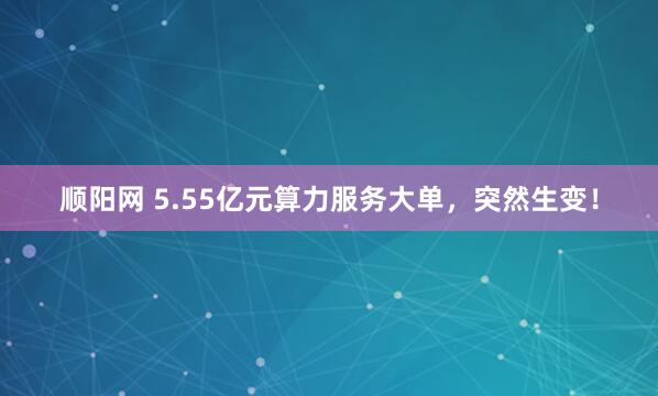 顺阳网 5.55亿元算力服务大单，突然生变！