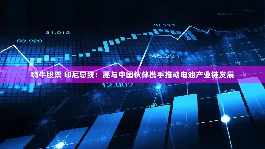嗨牛股票 印尼总统：愿与中国伙伴携手推动电池产业链发展