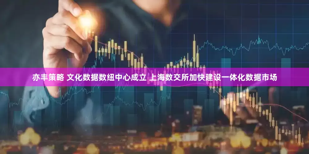亦丰策略 文化数据数纽中心成立 上海数交所加快建设一体化数据市场