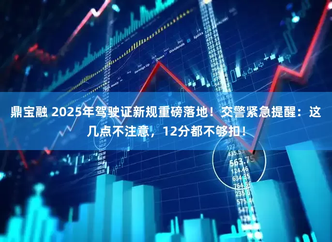 鼎宝融 2025年驾驶证新规重磅落地！交警紧急提醒：这几点不注意，12分都不够扣！